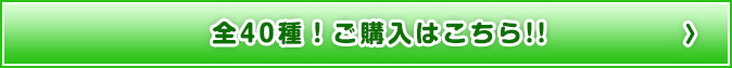 全40種！ご購入はこちら!!